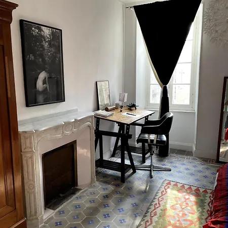 Artist - Courtyard, Terrace, Grand Piano Holiday home Siran (Herault)