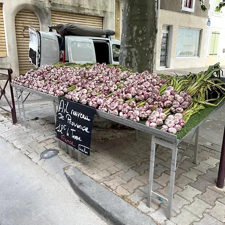 Artist - Courtyard, Terrace, Grand Piano Siran (Herault)